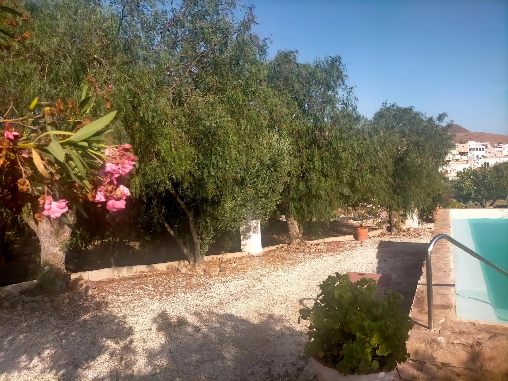 Casas Rurales Cortijo Torreblanca Parque Cabo De Gata เอล ปอโซ เด ลอส ไฟรเลส ภายนอก รูปภาพ