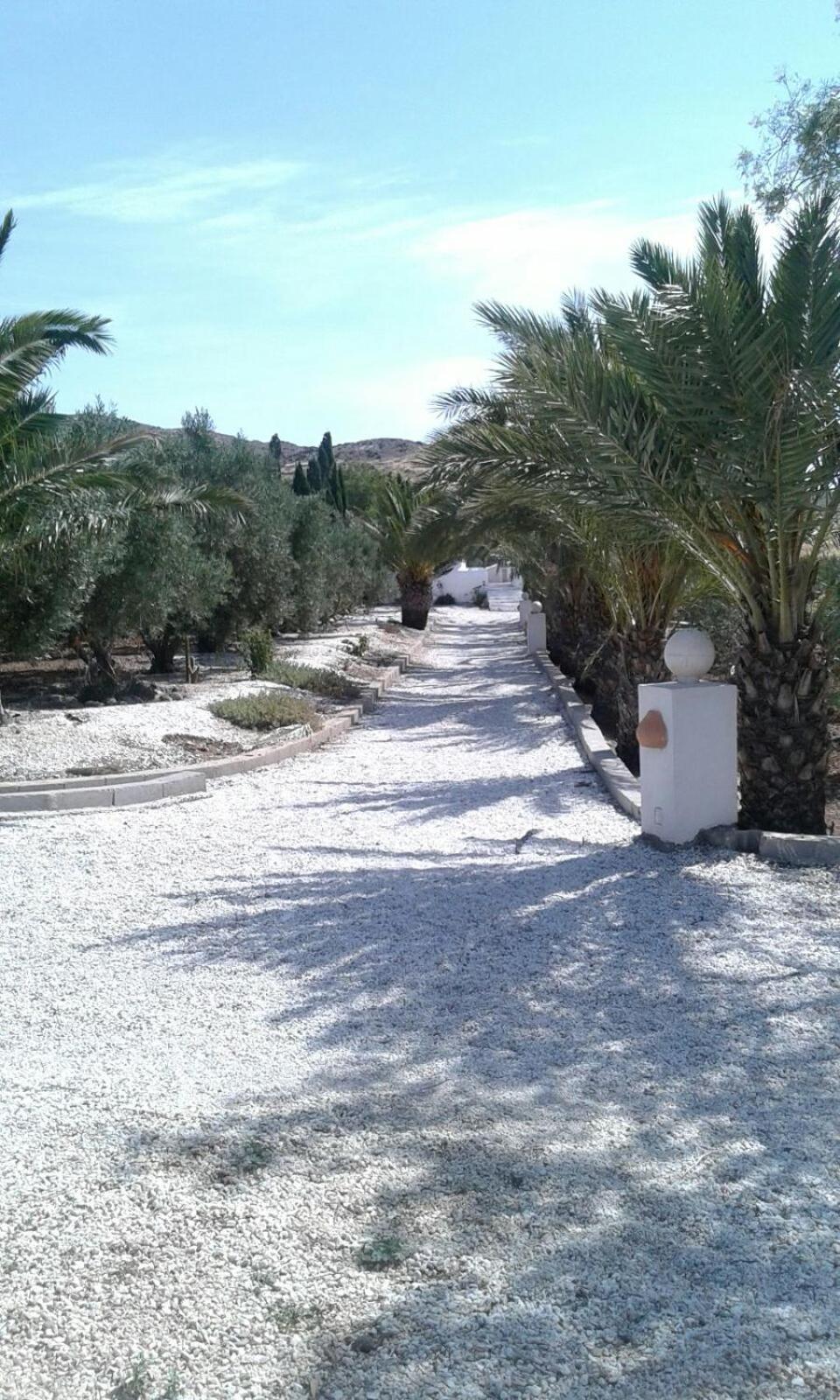 Casas Rurales Cortijo Torreblanca Parque Cabo De Gata เอล ปอโซ เด ลอส ไฟรเลส ภายนอก รูปภาพ