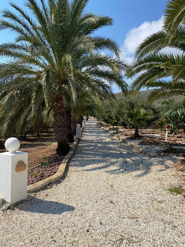Casas Rurales Cortijo Torreblanca Parque Cabo De Gata เอล ปอโซ เด ลอส ไฟรเลส ภายนอก รูปภาพ