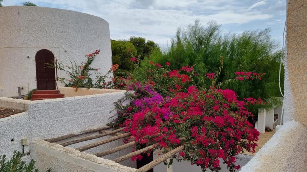Casas Rurales Cortijo Torreblanca Parque Cabo De Gata เอล ปอโซ เด ลอส ไฟรเลส ภายนอก รูปภาพ