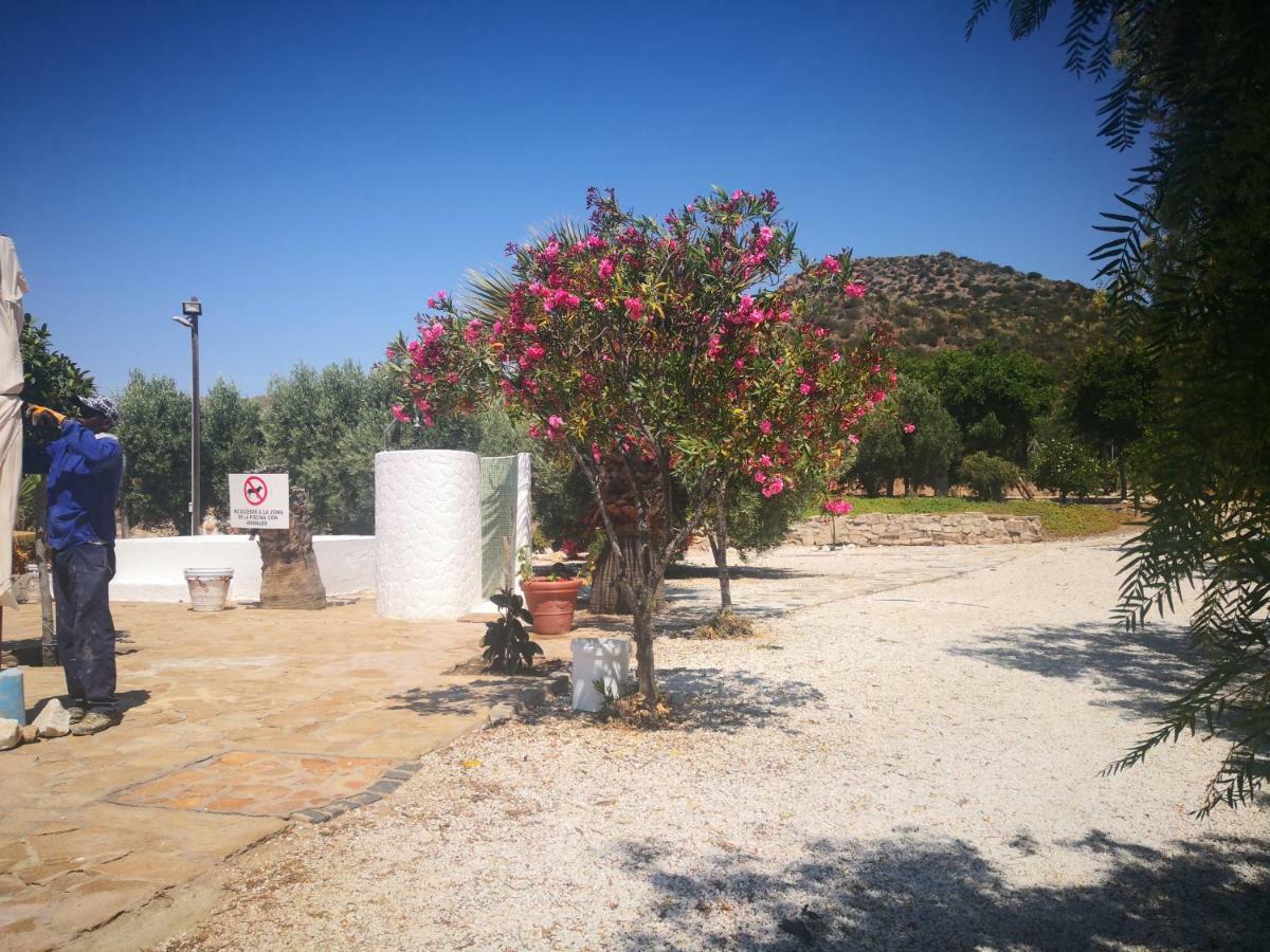Casas Rurales Cortijo Torreblanca Parque Cabo De Gata เอล ปอโซ เด ลอส ไฟรเลส ภายนอก รูปภาพ