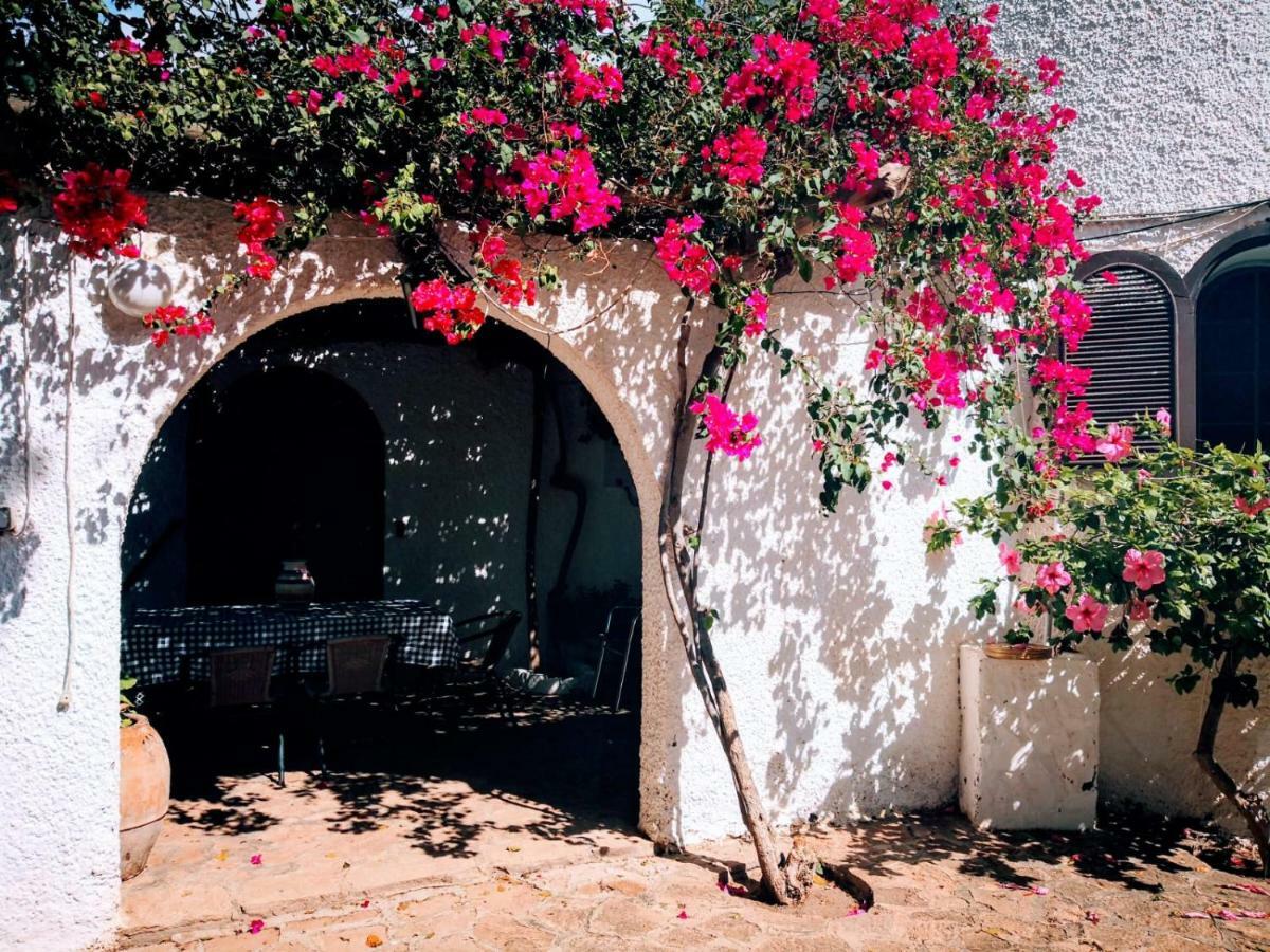 Casas Rurales Cortijo Torreblanca Parque Cabo De Gata เอล ปอโซ เด ลอส ไฟรเลส ภายนอก รูปภาพ